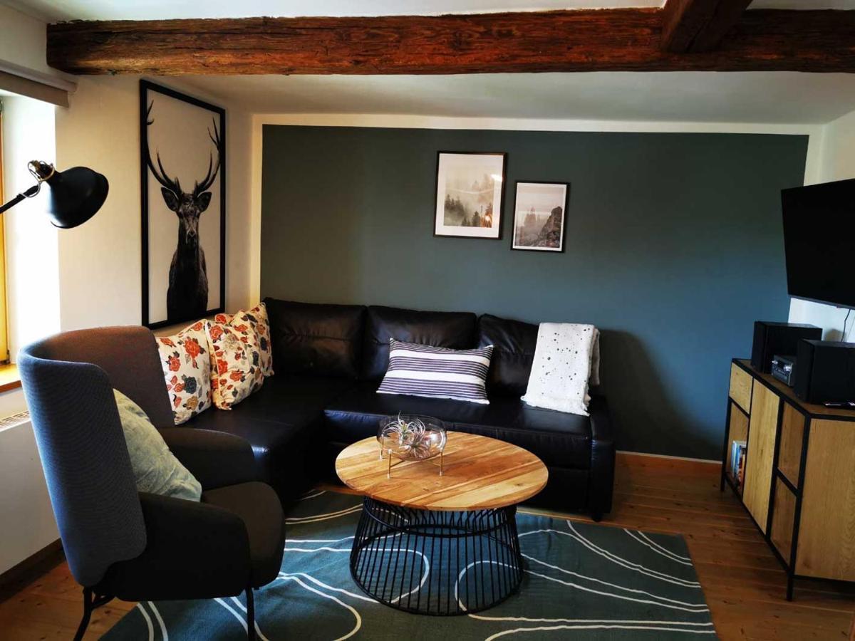 Birke Apartment Илзенбург Екстериор снимка